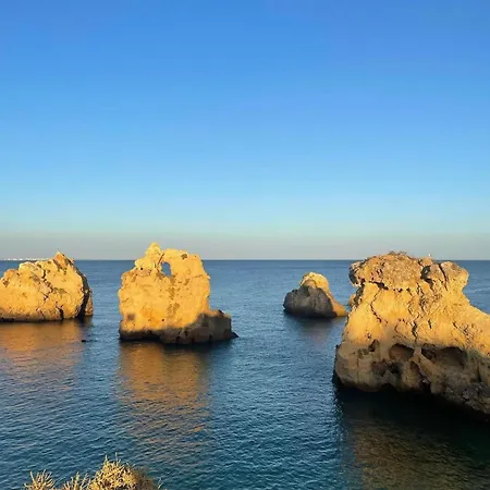 Casa Papoila אלבופיירה